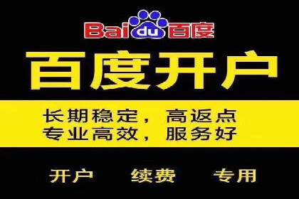 百度SEO推广公司案例精选：助力企业快速崛起